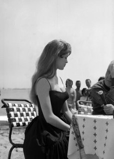 Brigitte_Bardot_4d86b96b0ec9e.jpg