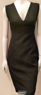 Lanvin dress .png