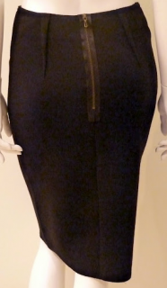 Lanvin skirt back.png