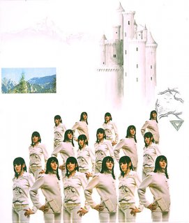 fcds0107l.jpg