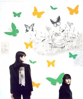 fcds0108l.jpg