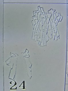 cimg1659.jpg
