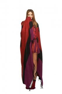 lwren_look_16.jpg