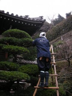20090310214700.jpg