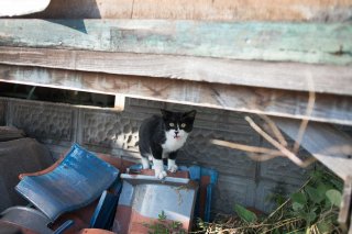 img_main48.jpg