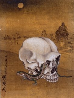 kyosai  tokage.jpg