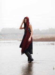 iliana for Vacuum 10.jpg