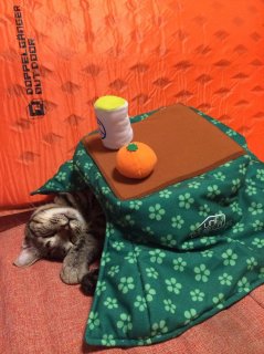 kotatsu2.jpg