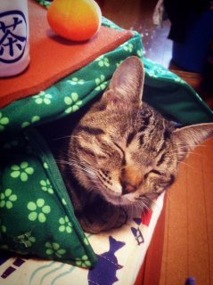 kotatsu.jpg