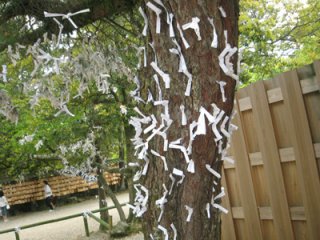 07_001.jpg