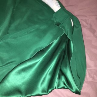 Lanvin sleeve.jpg