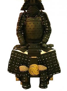 7691466.jpg