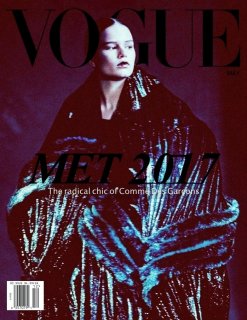 voguemetgala2017coverbystockholmfw.jpg