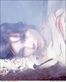 bjork3.jpg