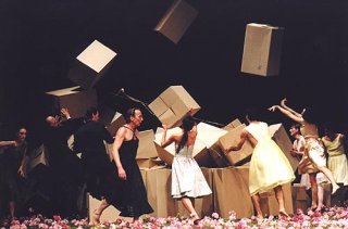 jr_pina_bausch_nelken_boxes_500.jpg