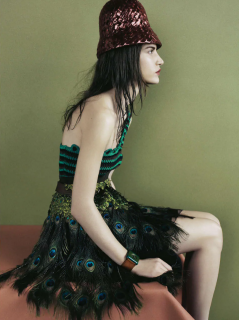 Meisel_Prada_Spring_Summer_2005_06.png