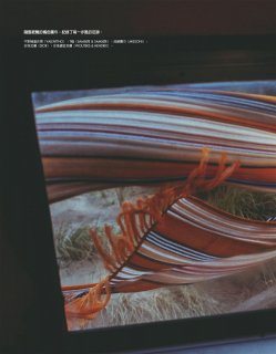 2020-06-01 ELLE-149 拷貝.jpg