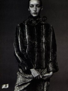 img237.jpg