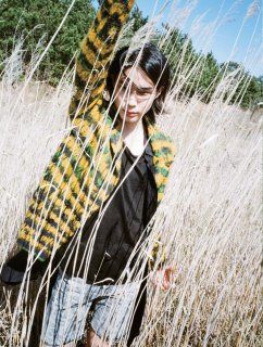 163.jpg
