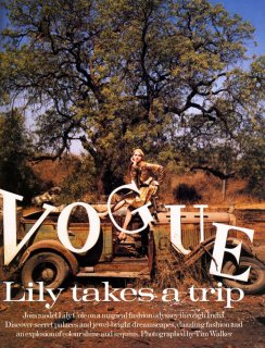 lily-cole-tim-walker-vogue-uk-july-2005-2.jpg