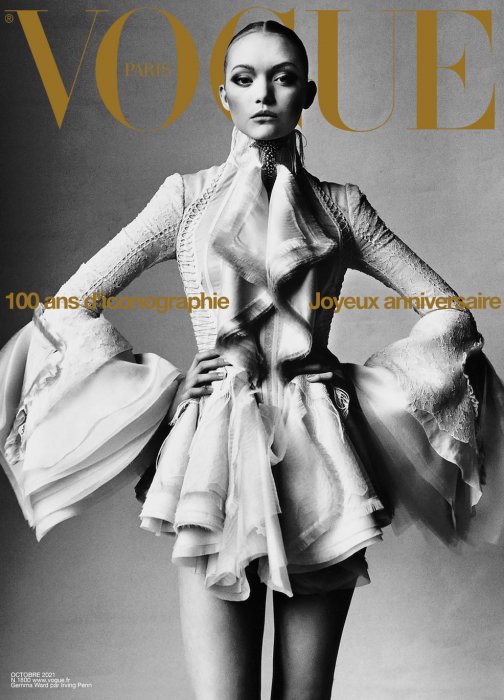 Vogue Paris Entry 5.jpg