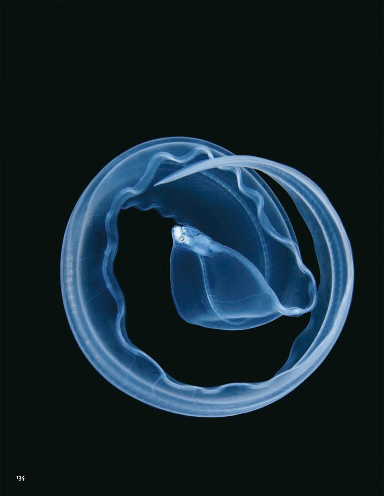 2021-10-01 VOGUE-142 拷貝.jpg