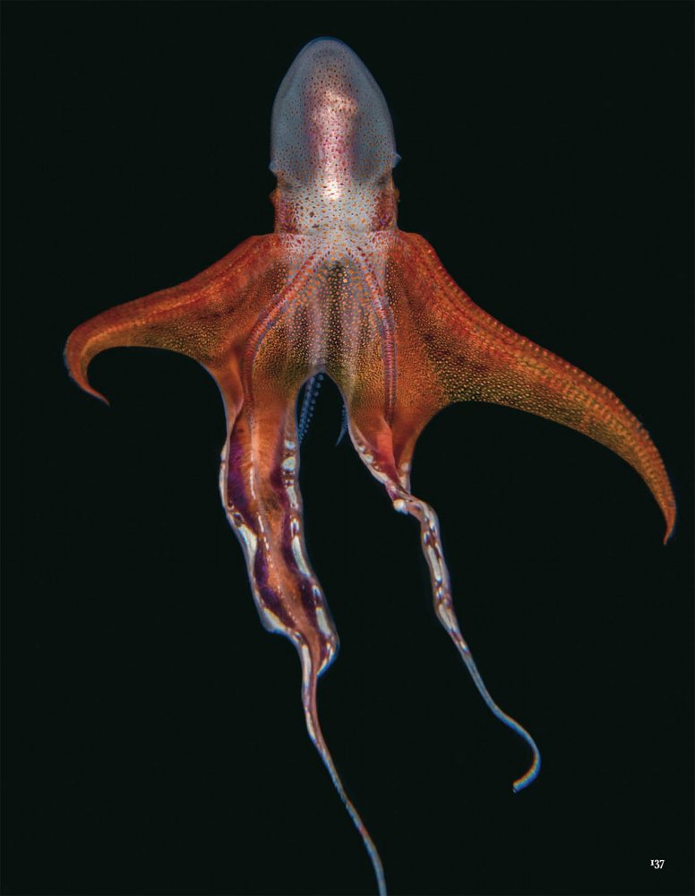 2021-10-01 VOGUE-145 拷貝.jpg