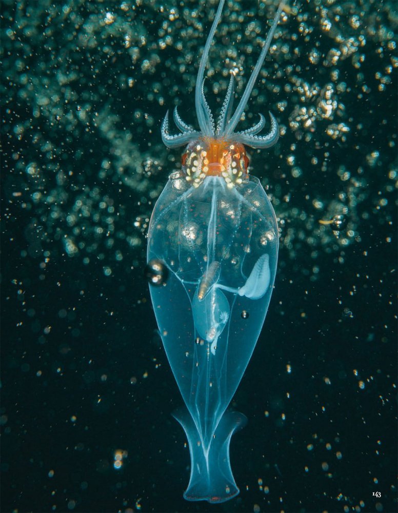 2021-10-01 VOGUE-151 拷貝.jpg