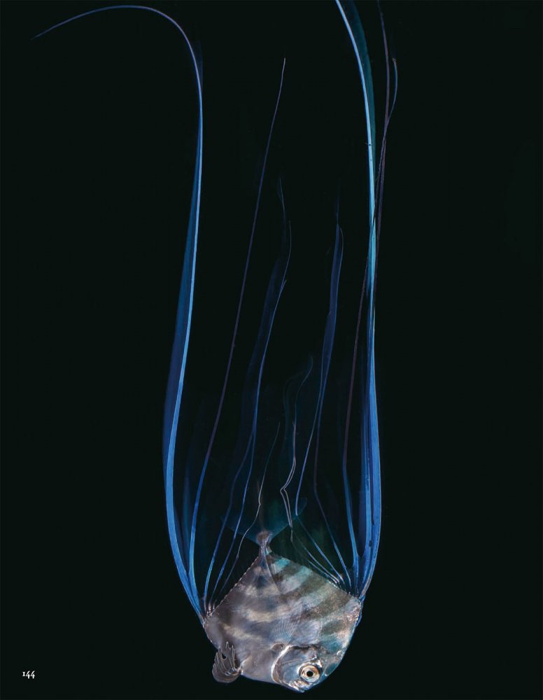 2021-10-01 VOGUE-152 拷貝.jpg