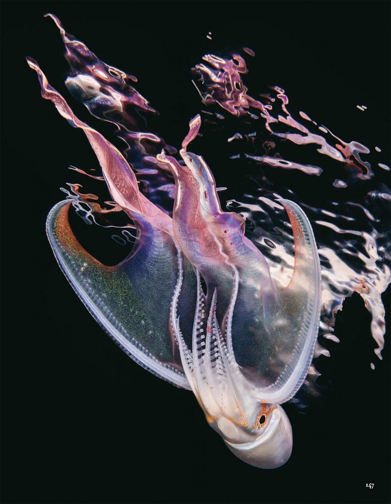 2021-10-01 VOGUE-155 拷貝.jpg