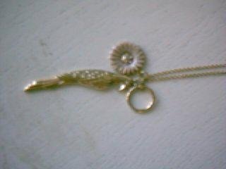 daisy parrot.JPG