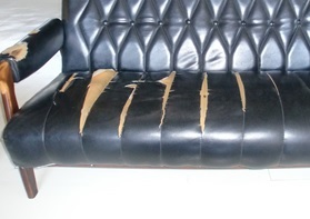 sofa1.jpg