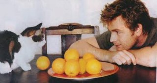 ewan cat.jpg