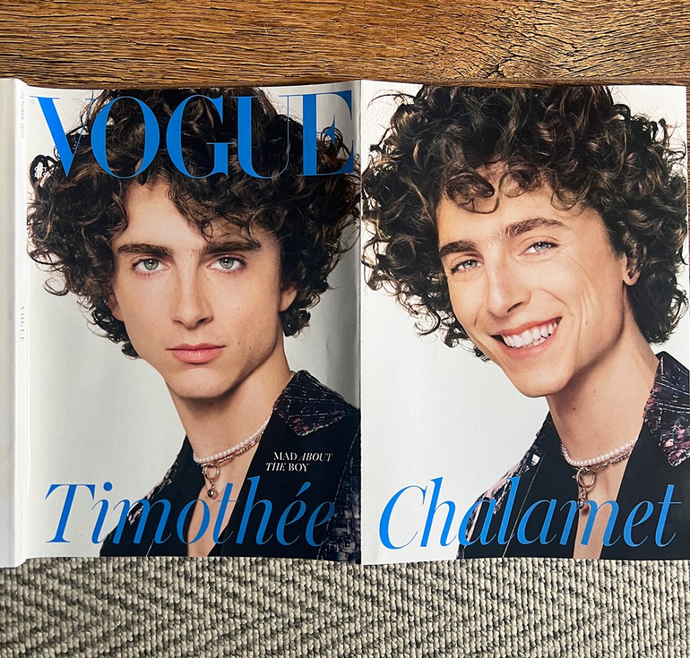 Timothée Chalamet Covers Vogue Plus China October 2021 Issue