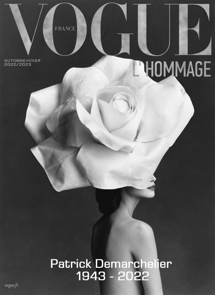 Patrick Demarchelier - Rose.jpg