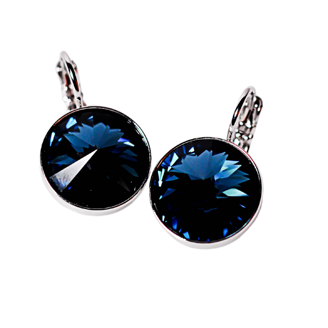 blue earrings.png
