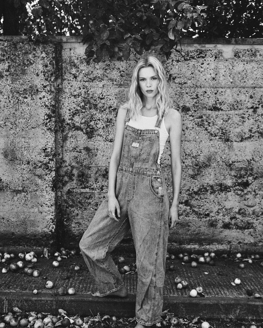 freyanutter_1660835739_2907623384054516248_11520254034.jpg freyanutter_1660835739_2907623384054516248_11520254034.jpg