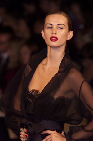 lemons s01ysl-HC-1e.jpg