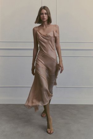1983097-800w.jpg