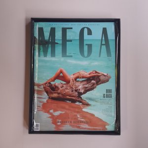 Mega1.jpg