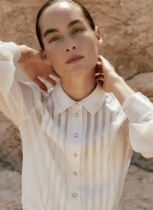 IMG_7712.jpeg IMG_7712.jpeg