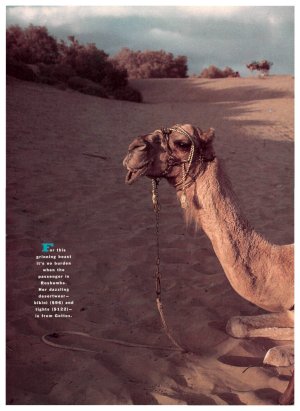 SportsIllustratedUSMarch091992-5.jpg