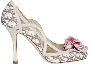 Dior Romantique Shoe.PNG