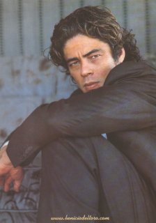 benicio2.jpg
