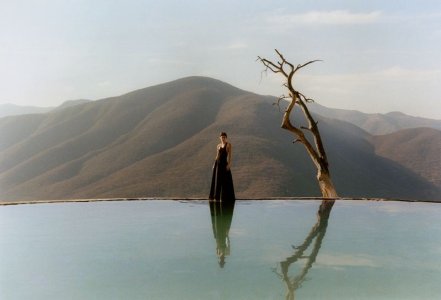 IMG_9034.jpeg IMG_9034.jpeg