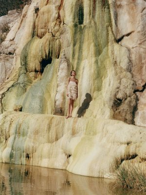 IMG_9037.jpeg IMG_9037.jpeg