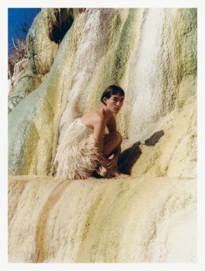 IMG_9043.jpeg IMG_9043.jpeg