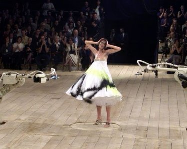 IMG_6785.jpeg IMG_6785.jpeg