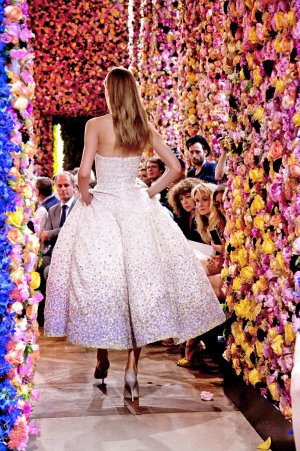 20120705-DIOR-slide-HGMR-superJumbo.jpg