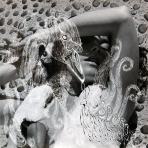 CD-Bjork-Vespertine.jpg